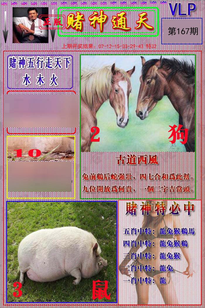 2024167期赌神通天报