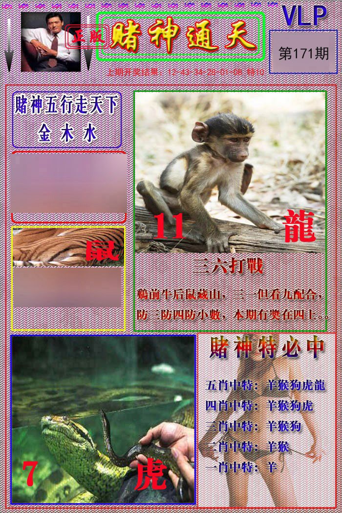 2024171期赌神通天报