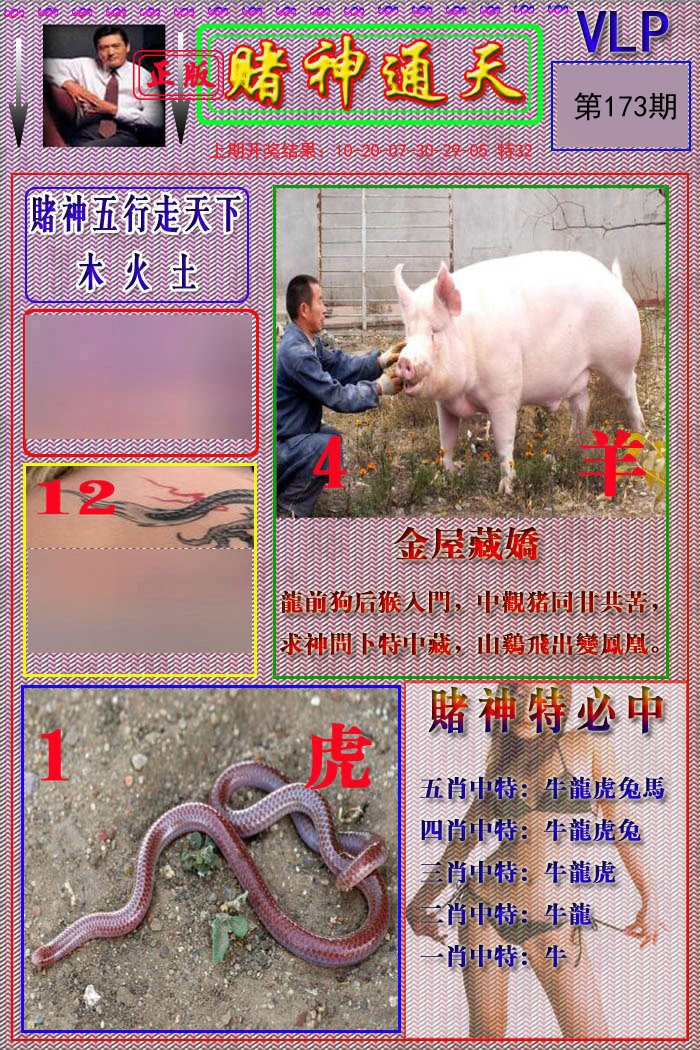 2024173期赌神通天报