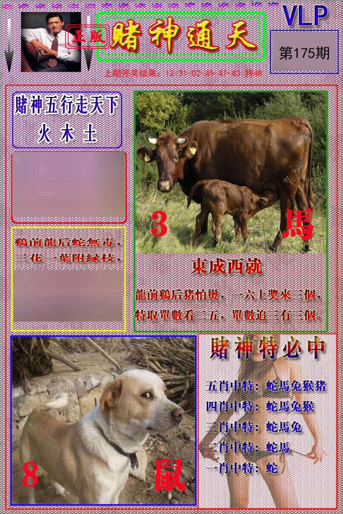 2024175期赌神通天报