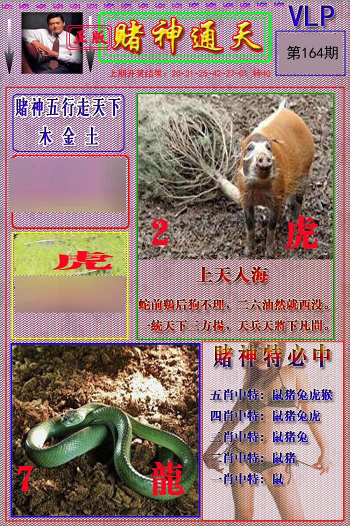 2024164期赌神通天报