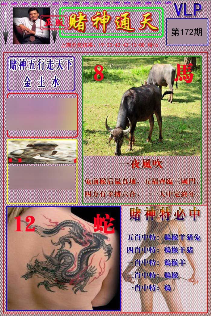 2024172期赌神通天报