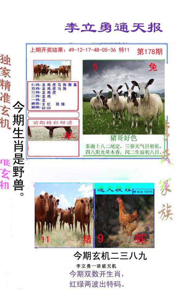 2024178期李立勇通天报