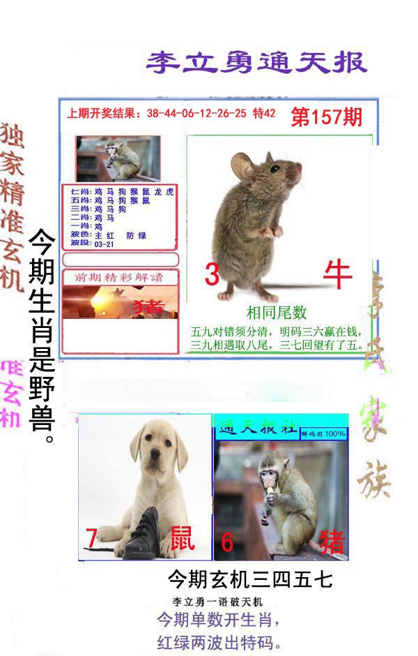 2024157期李立勇通天报