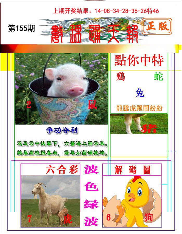 2024155期数理通天