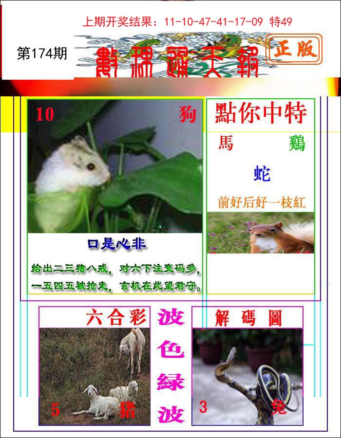 2024174期数理通天