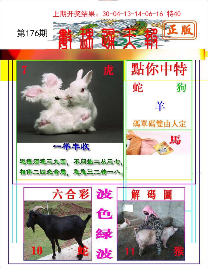2024176期数理通天