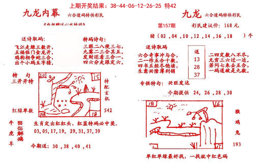 2024157期九龙内幕