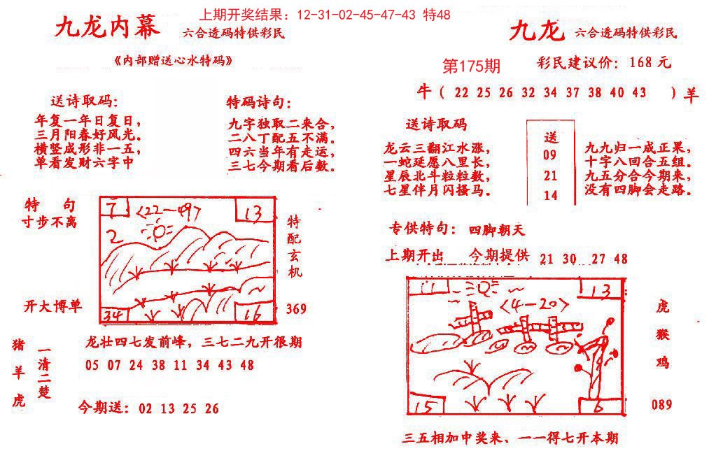 2024175期九龙内幕