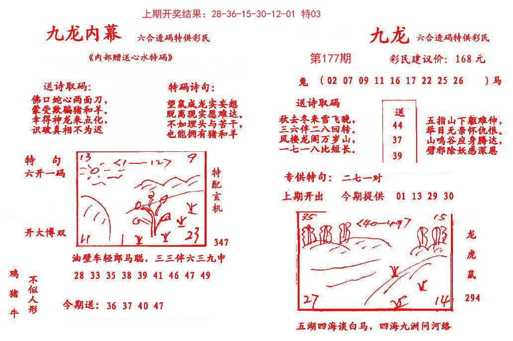 2024177期九龙内幕