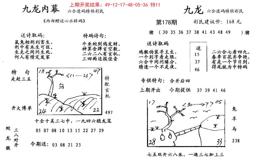 2024178期九龙内幕