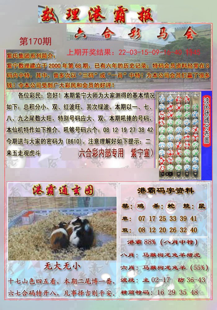 2024170期港霸报