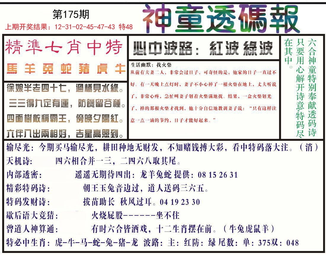 2024175期神童透码报