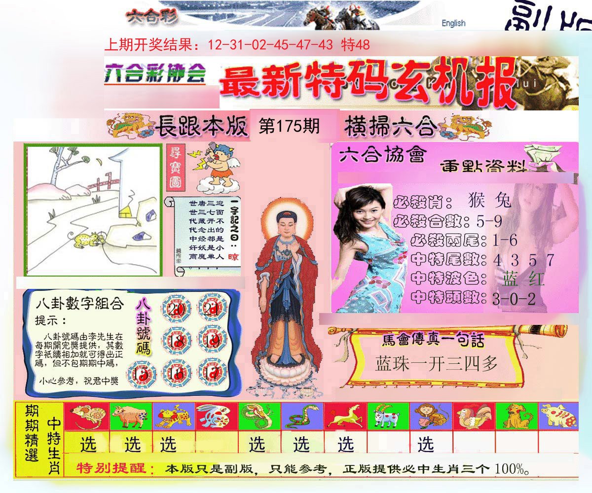 2024175期九龍内幕玄机报