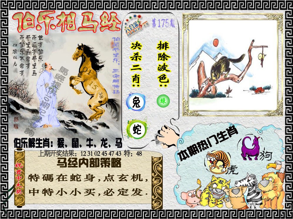 2024175期伯乐相马经