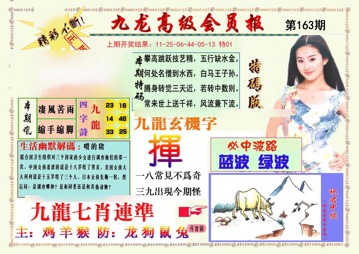 2024163期九龙高级会员报