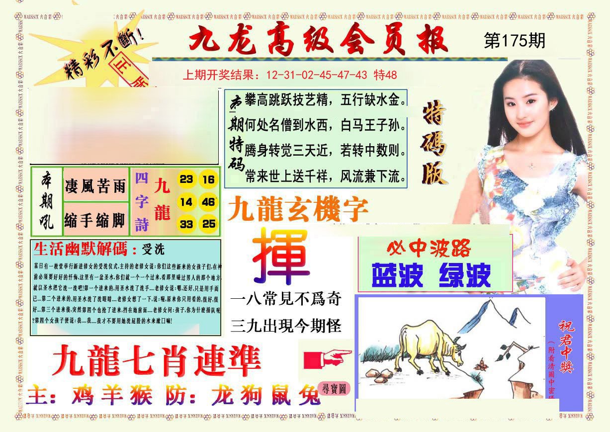 2024175期九龙高级会员报