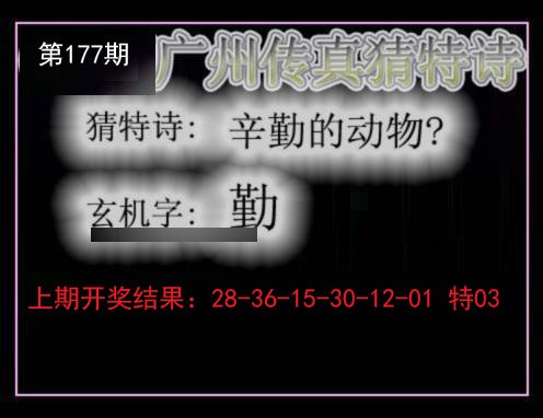 2024177期广州传真猜特诗