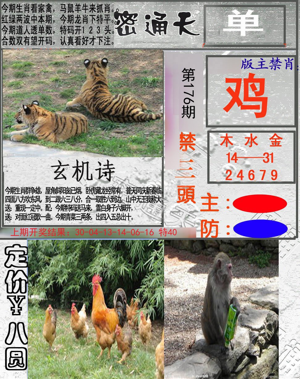 2024176期密通天