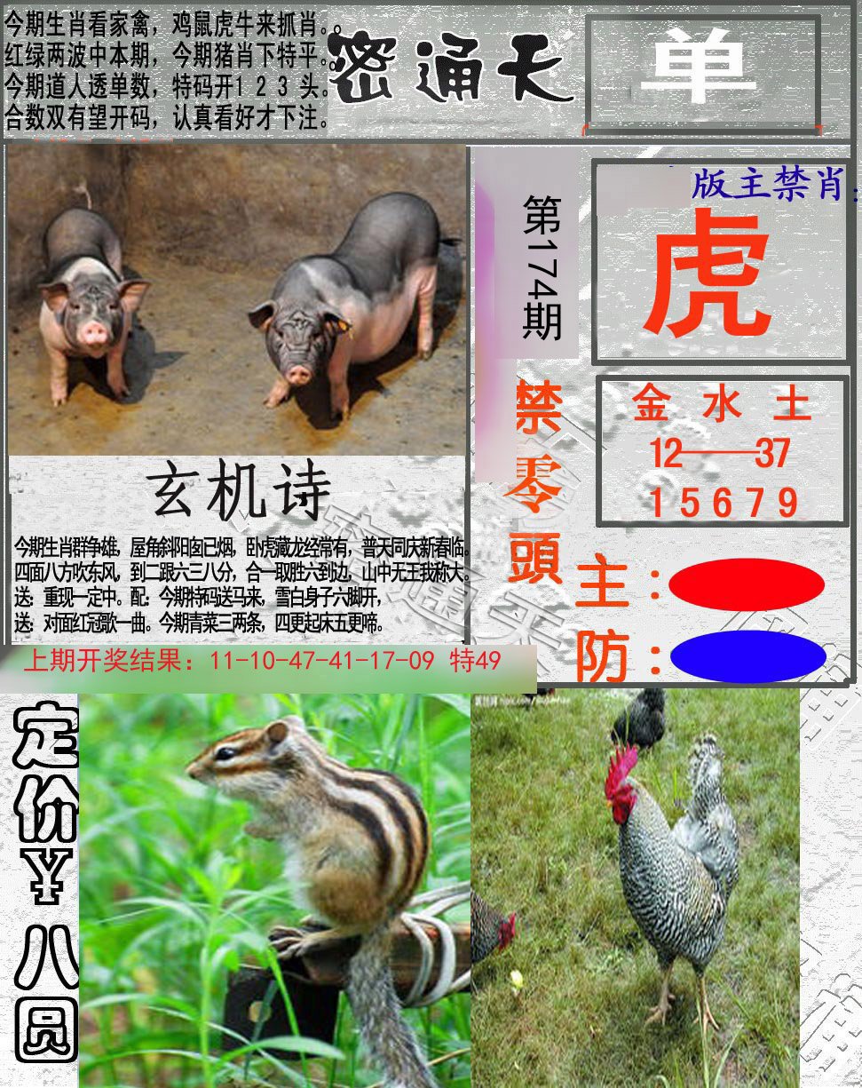 2024174期密通天