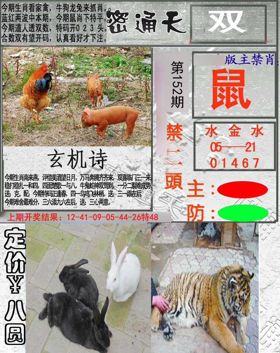 2024152期密通天