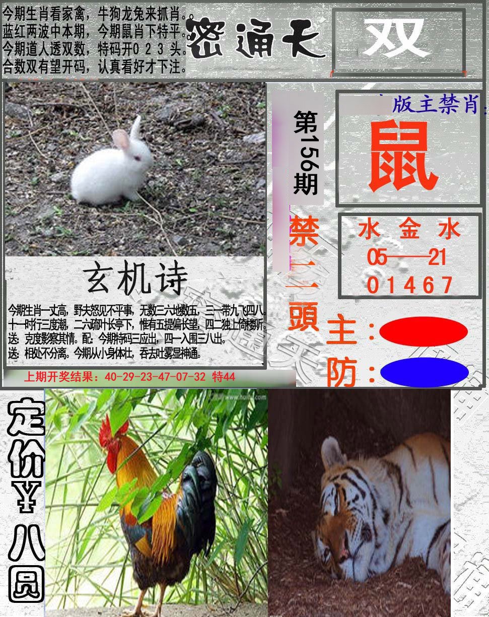 2024156期密通天