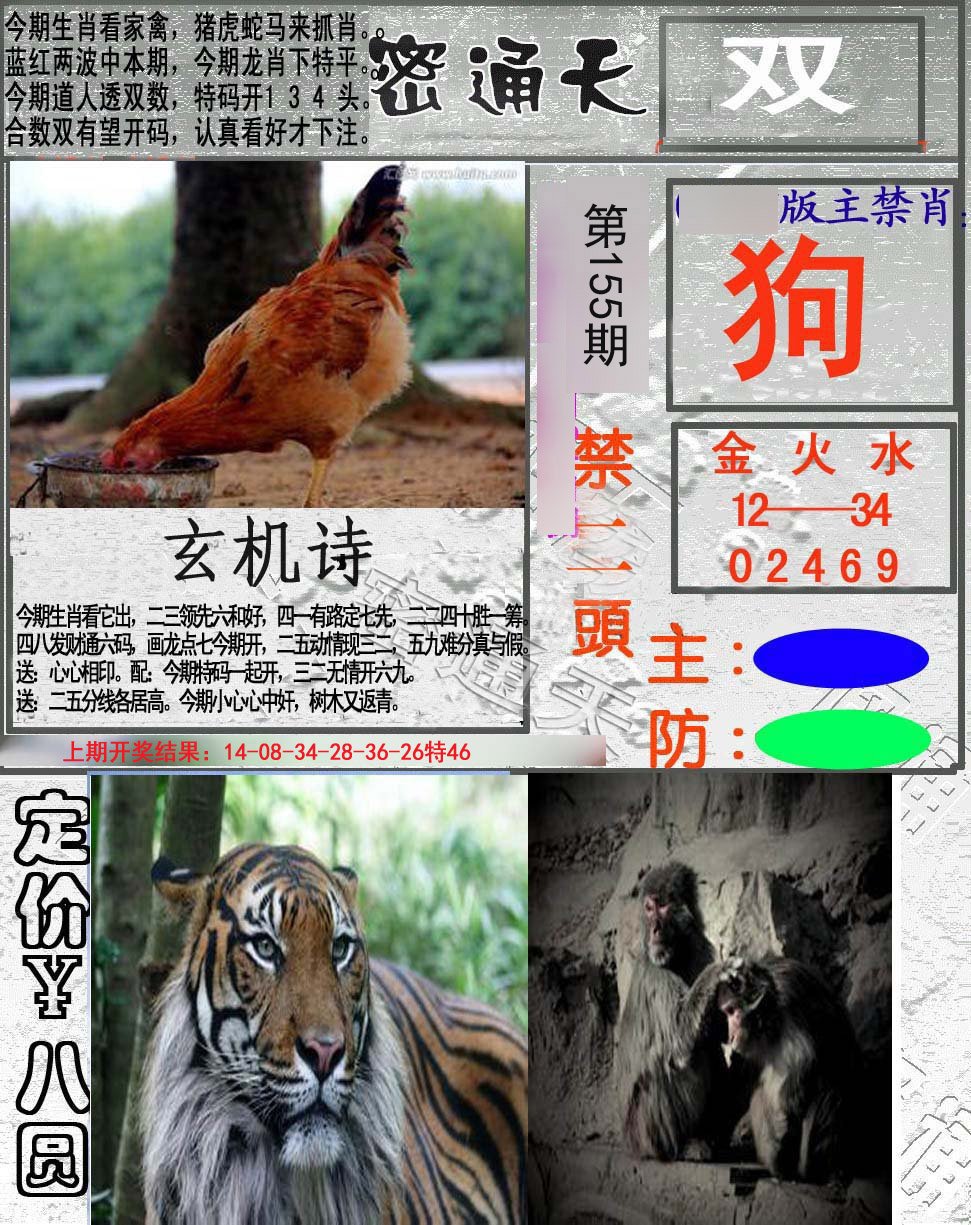 2024155期密通天