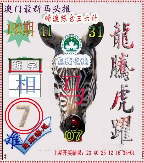 2024180期马头报