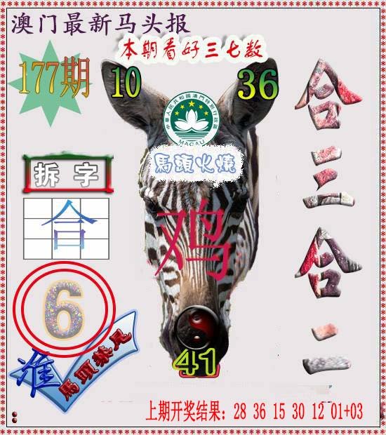 2024177期马头报