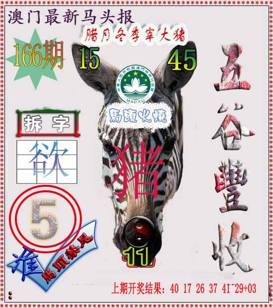 2024166期马头报