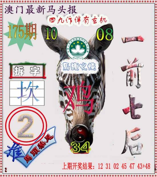 2024175期马头报