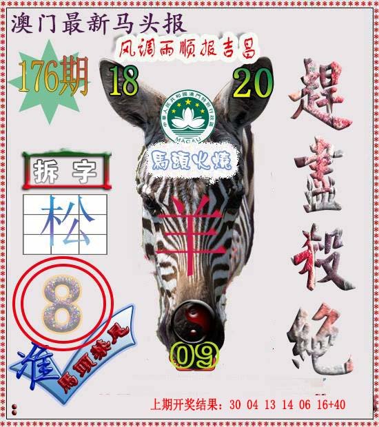 2024176期马头报