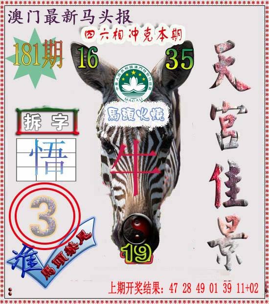 2024181期马头报
