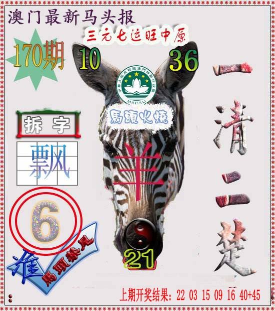 2024170期马头报