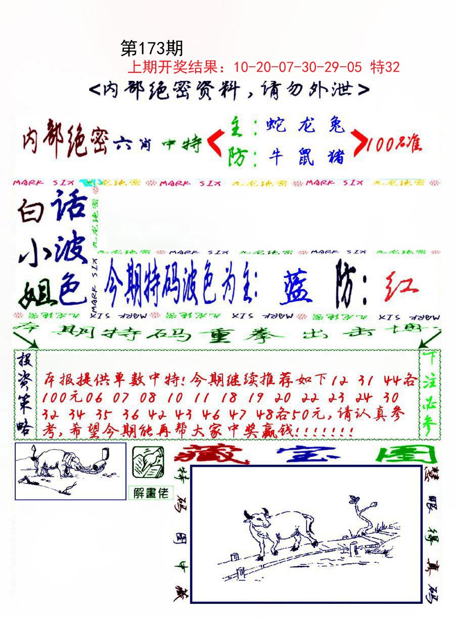 2024173期九龙密报