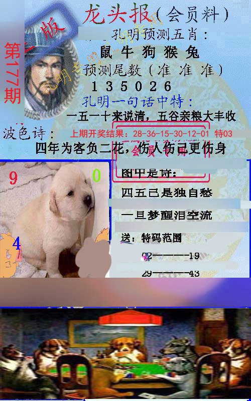 2024177期龙头报