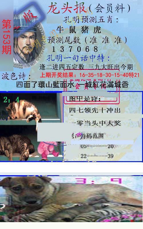 2024153期龙头报