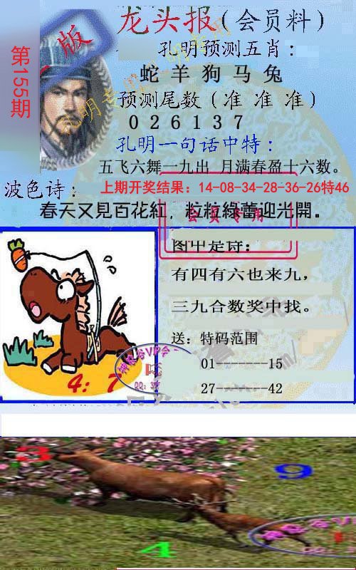2024155期龙头报