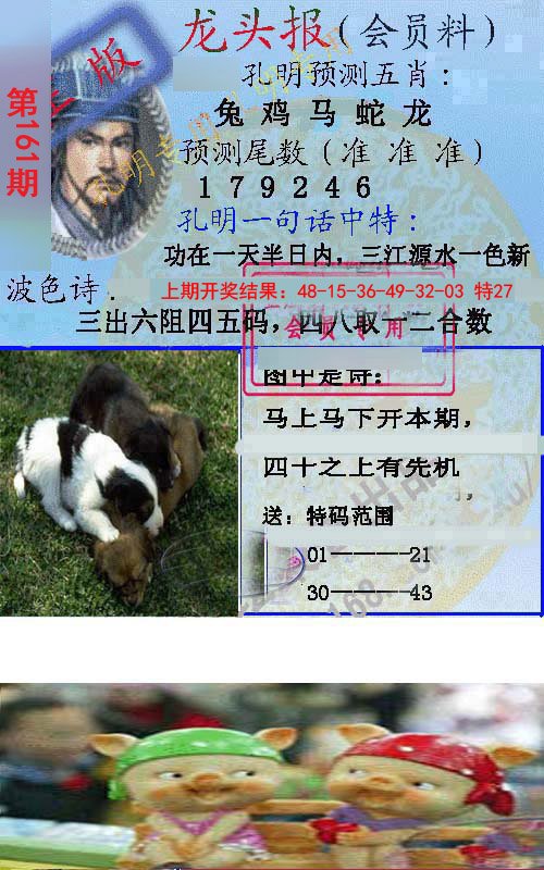 2024161期龙头报