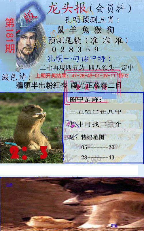 2024181期龙头报