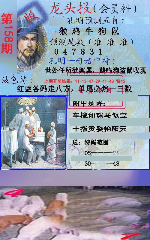 2024158期龙头报