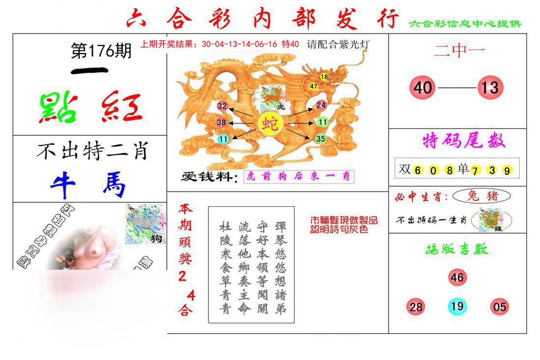 2024176期一点红