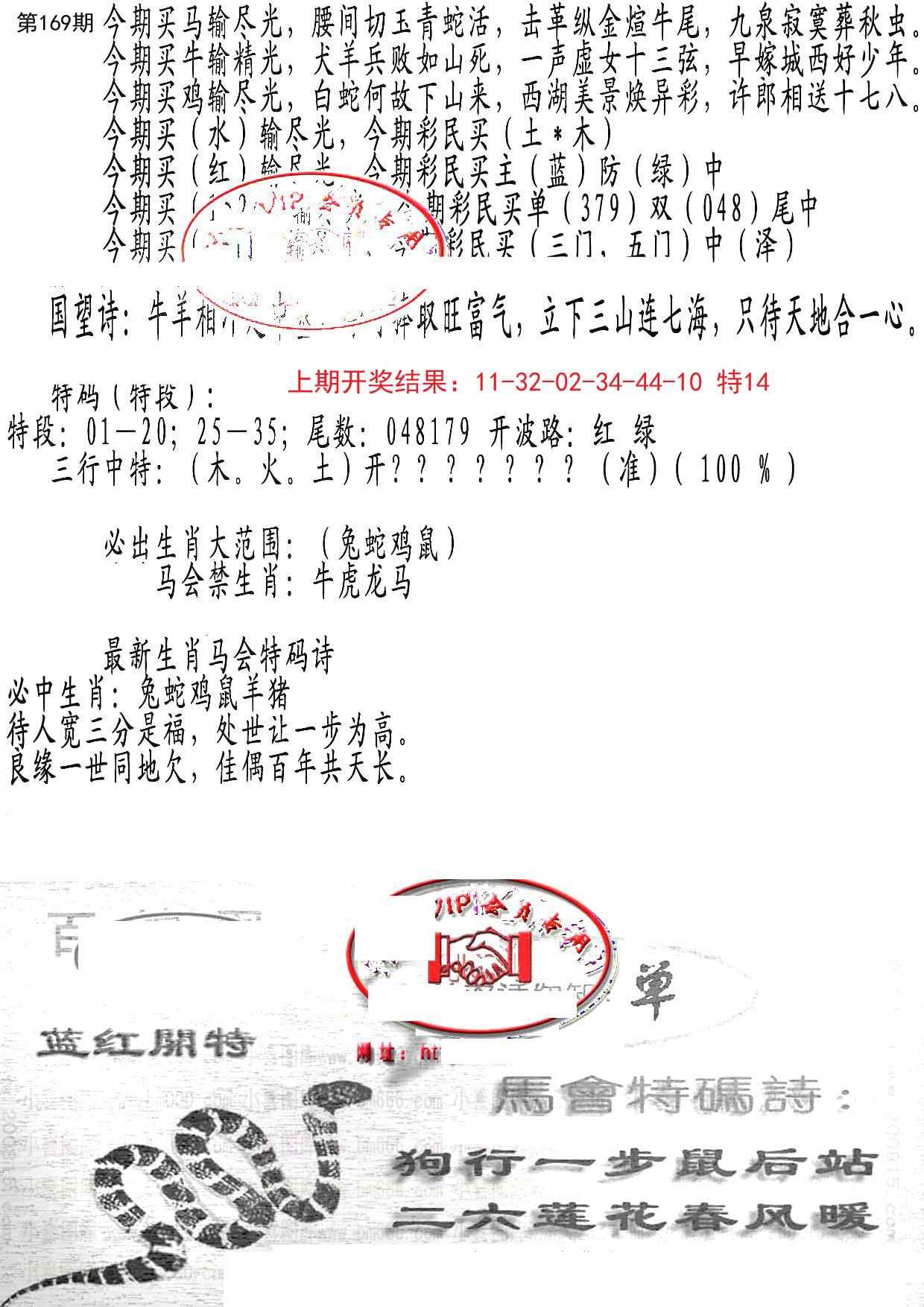 2024169期蛇报B