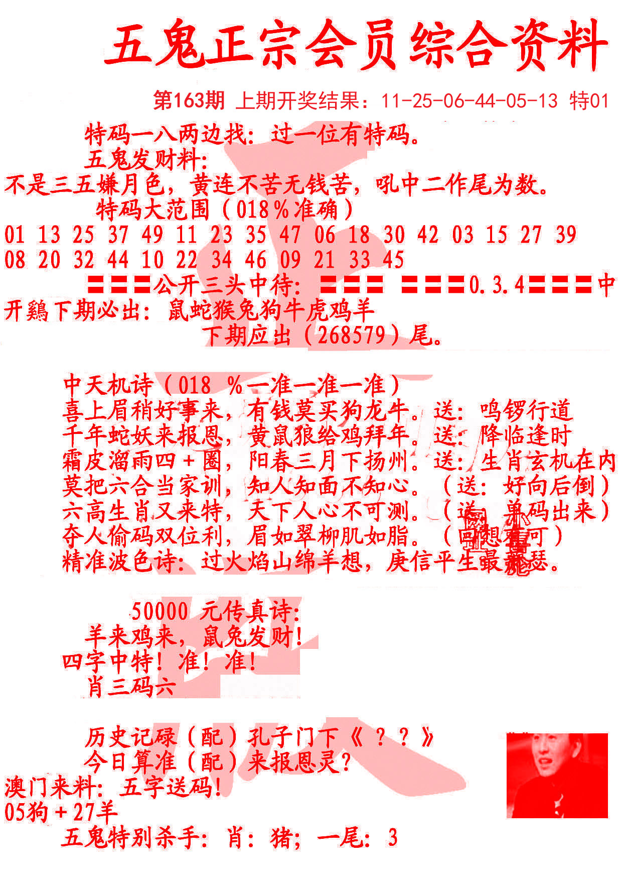 2024163期蛇报A