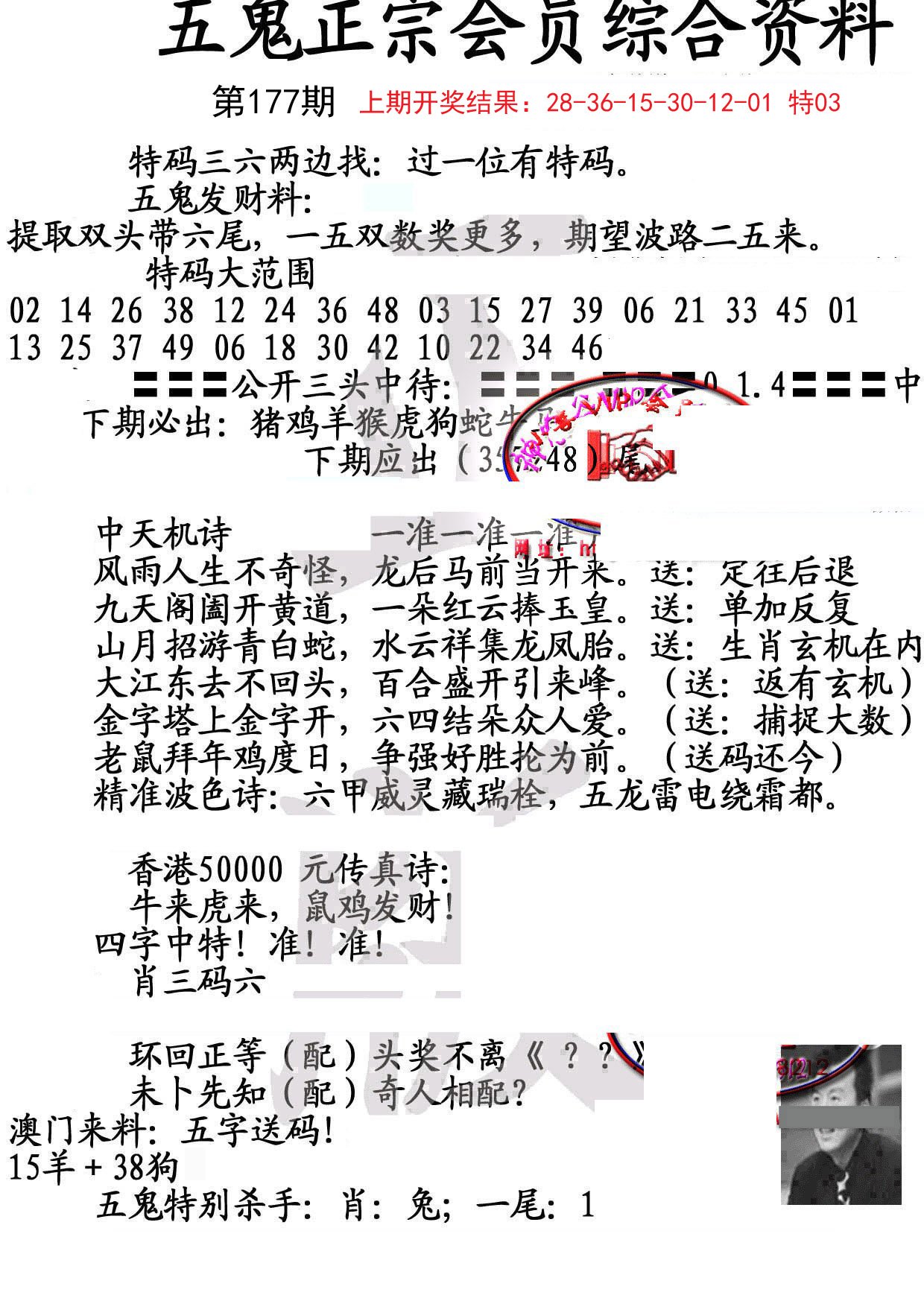 2024177期蛇报A