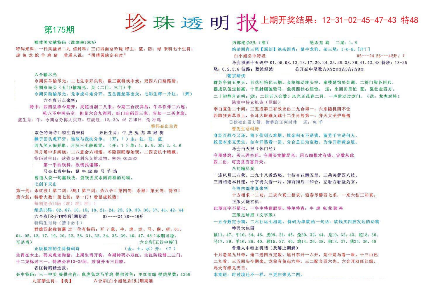2024175期珍珠透明报