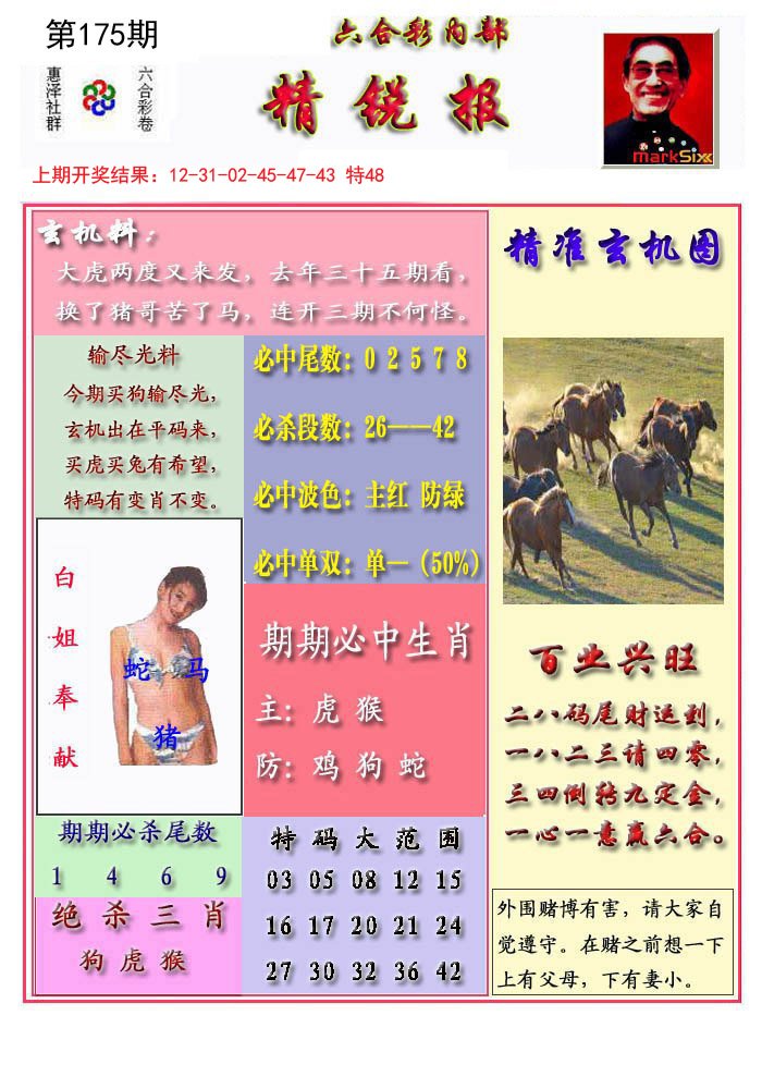 2024175期精锐报