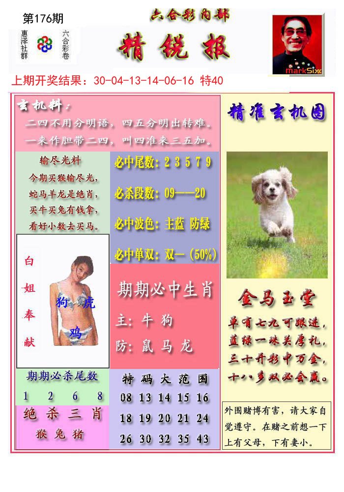 2024176期精锐报