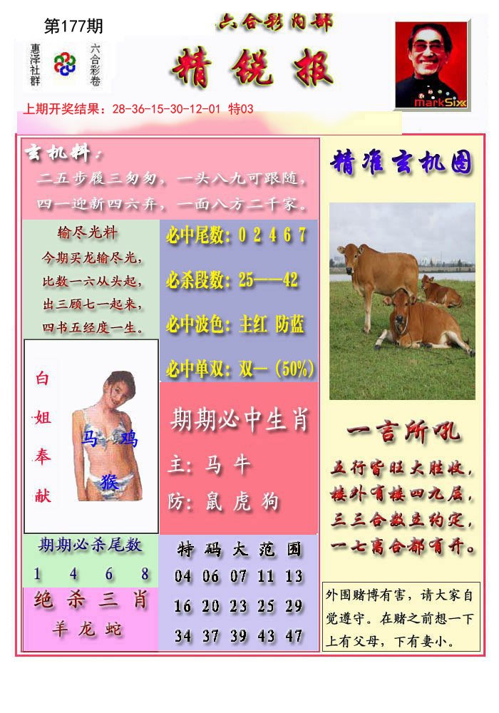 2024177期精锐报