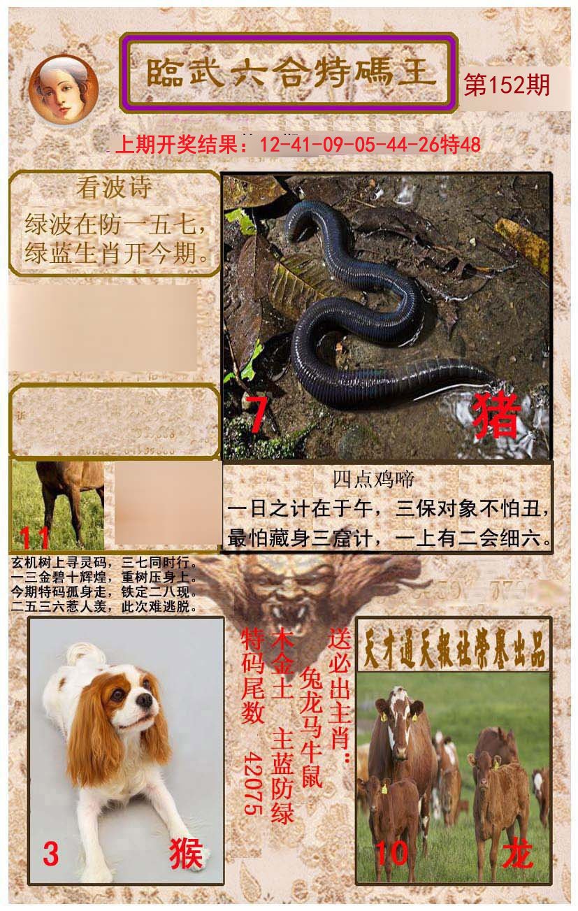 2024152期临武六合特码王
